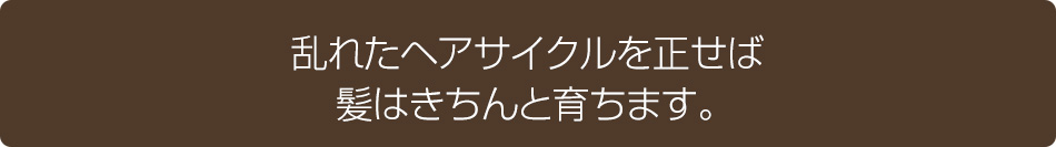 乱れたヘアサイクルを正せば髪はきちんと育ちます。