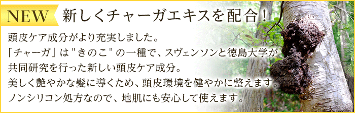 新しくチャーガエキス配合