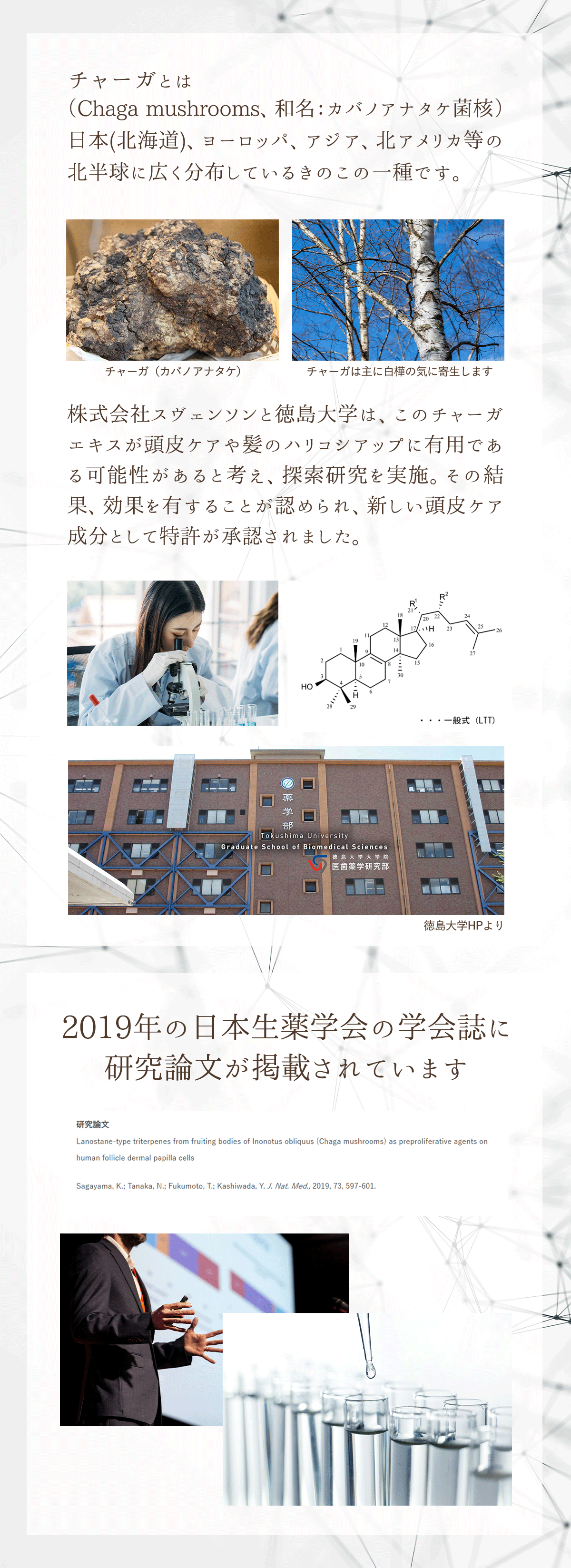 チャーガとは（Chaga mushrooms、和名：カバノアナタケ菌核）日本(北海道)、ヨーロッパ、アジア、北アメリカ等の北半球に広く分布しているきのこの一種です。