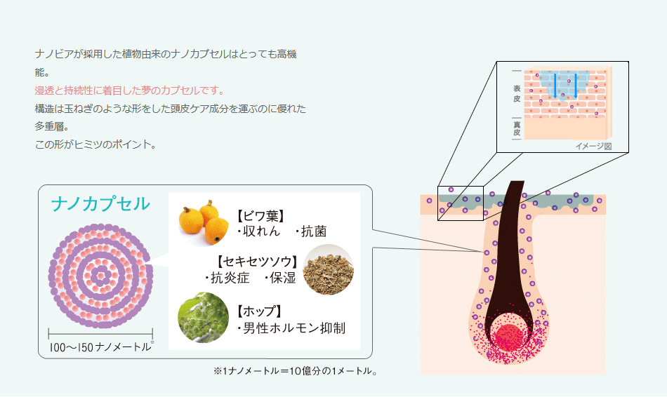 乱れたヘアサイクルを正常に 薬用育毛剤レフィーネナノビアの効果的な使い方 ヘアケア専門店レフィーネ公式オンラインストア