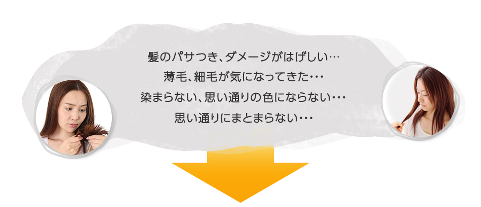 髪のパサつき、ダメージがはげしい