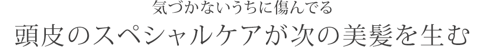 気づかないうちに傷んでる
頭皮のスペシャルケアが次の美髪を生む