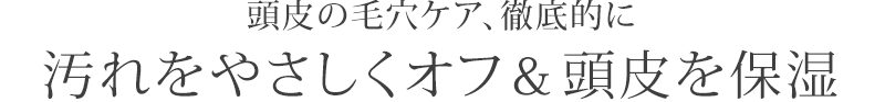 頭皮の毛穴ケア、徹底的に 汚れをやさしくオフ＆頭皮を保湿