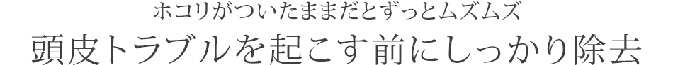 ホコリがついたままだとずっとムズムズ
頭皮トラブルを起こす前にしっかり除去