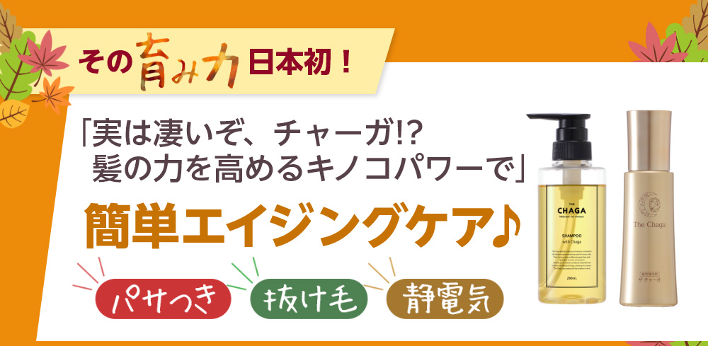 実は凄いぞ、チャーガ!?髪の力を高めるキノコパワーで簡単エイジングケア♪