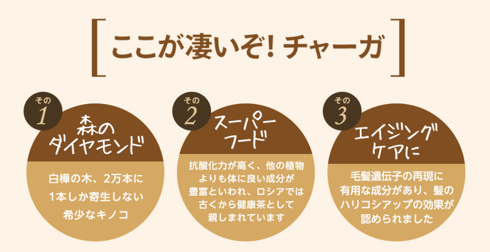 ここが凄いぞ！チャーガ