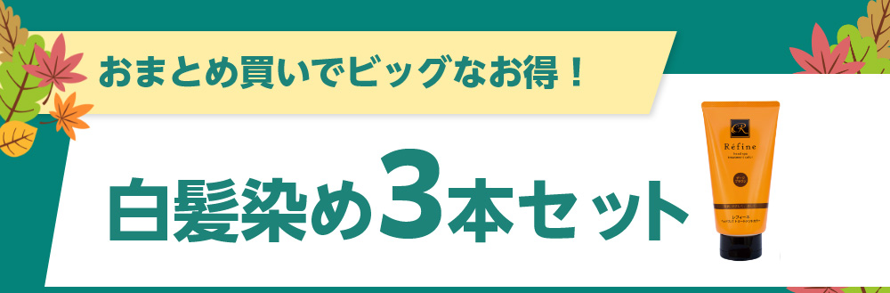 おまとめ買いでビッグなお得！白髪染め3本セット