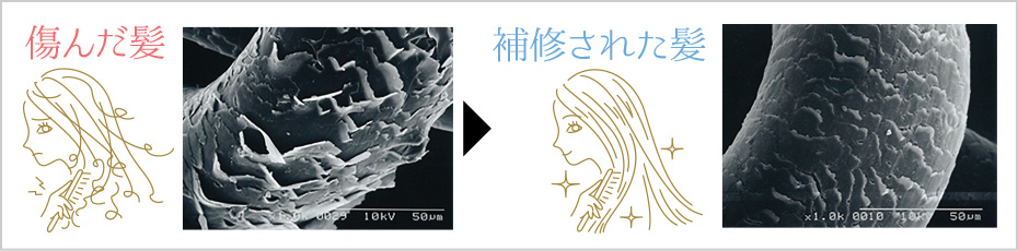 傷んだ髪補修された髪