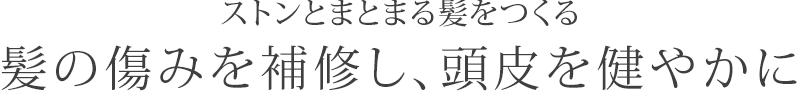 ストンとまとまる髪をつくる　髪の傷みを補修し、頭皮を健やかに