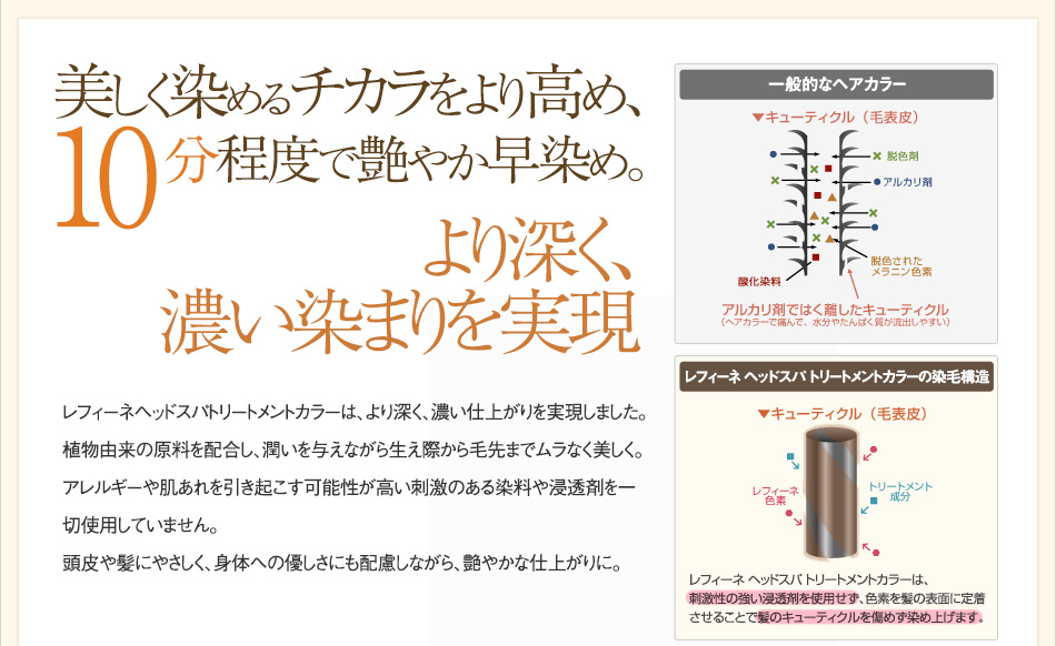 美しく染めるチカラをより高め、10分程度で艶やか早染め。より深く濃い染まりを実現。