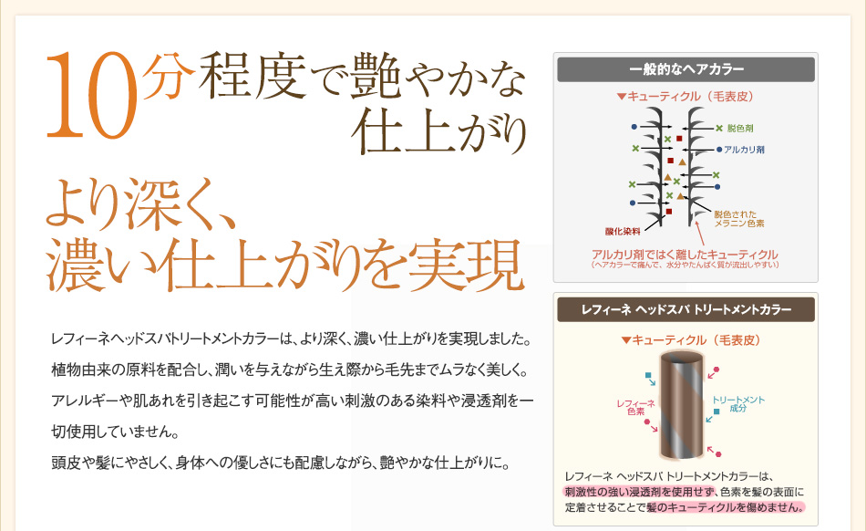 美しく染めるチカラをより高め、10分程度で艶やか早染め。より深く濃い染まりを実現。