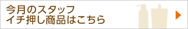 スタッフおすすめ