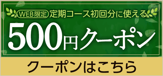 定期コース初回限定500円クーポン