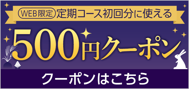 定期コース初回限定500円クーポン