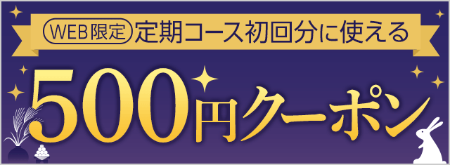 定期初回に使える500円クーポン