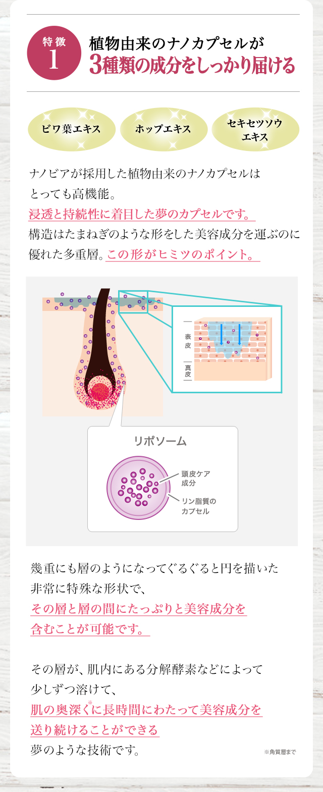 植物由来のナノカプセルが３種類の成分をしっかり届ける