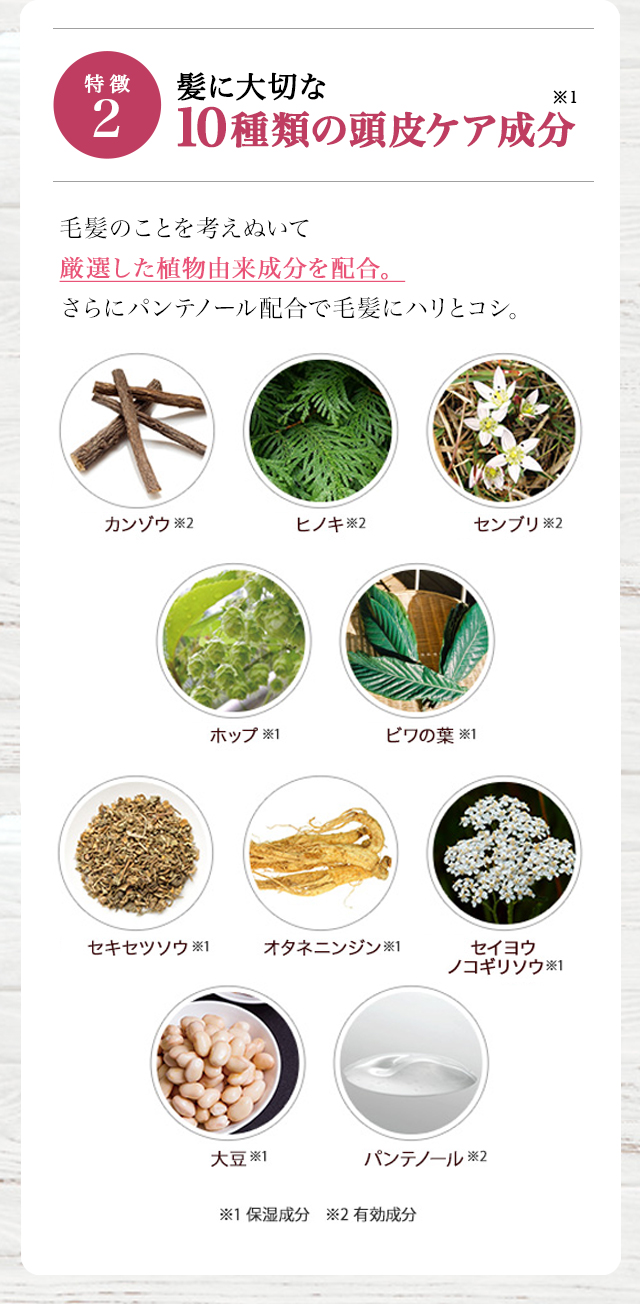 髪に大切な１０種の頭皮ケア成分