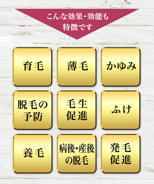 効果効能：育毛、薄毛対策、かゆみの抑制、脱毛の予防、毛生促進、ふけ対策、養毛、病後・産後の脱毛対策、発毛促進