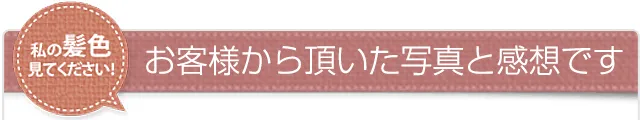 豊富に選べる全7色 レフィーネ・全色カラーリスト