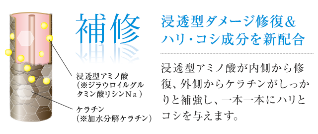 補修。浸透型ダメージ修復&ハリ・コシ成分を新配合